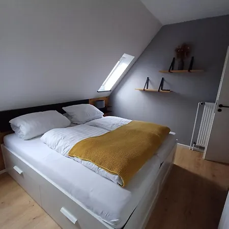 Möwennest In Der Medici